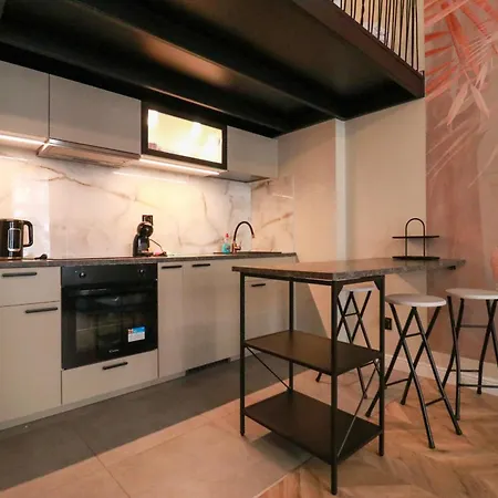 Rydygiera Loft By Zen4guest